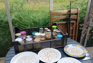 Mehr über den Artikel erfahren Saatgutfest der der gemeinwohlorientierten Hamburger Gärten