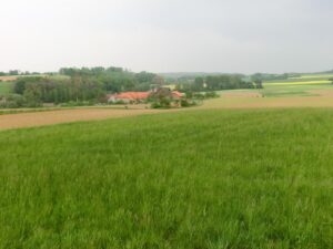 Mehr über den Artikel erfahren Exkursion zum Thema Nischenkulturen